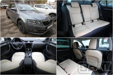 Skoda Octavia A7 ��������� ����������