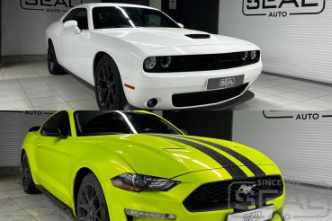 Dodge Challenger & Ford Mustang