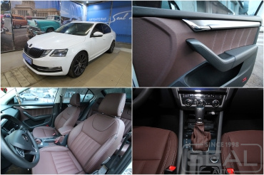 Skoda Octavia A7 ��������� ������ 