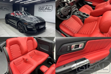 Ford Mustang ��������� ����������