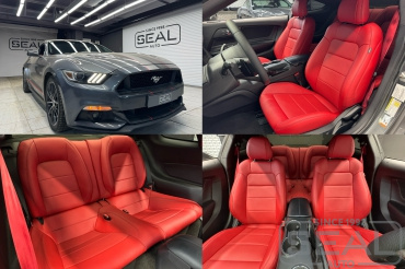 Ford Mustang ������� �������