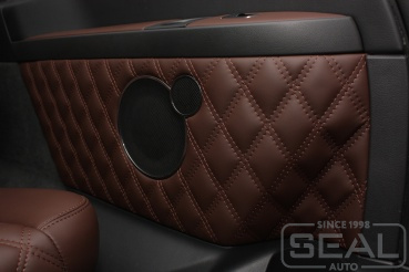 Mercedes Viano (W639) ��������� ����������