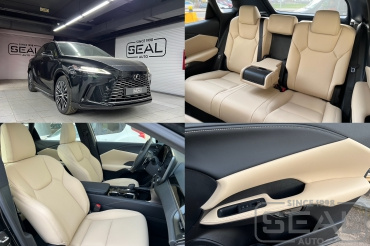 Lexus RX ������� ������