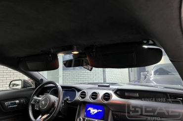 Ford Mustang ��������� �������