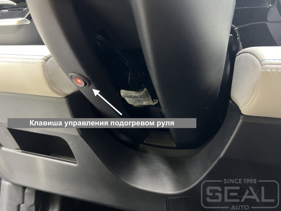 Клавиша управления подогревом руля Geely Monjaro после установки