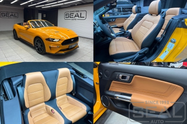 Ford Mustang ��������� ����������