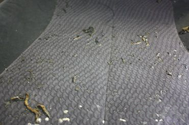 Toyota Camry (XV40) Ремонт сидения