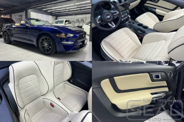 Ford Mustang ��������� ������