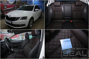 Skoda Octavia A7 ��������� ����������