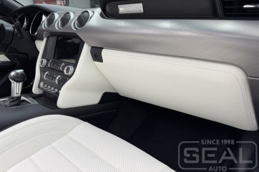 Ford Mustang ��������� �������